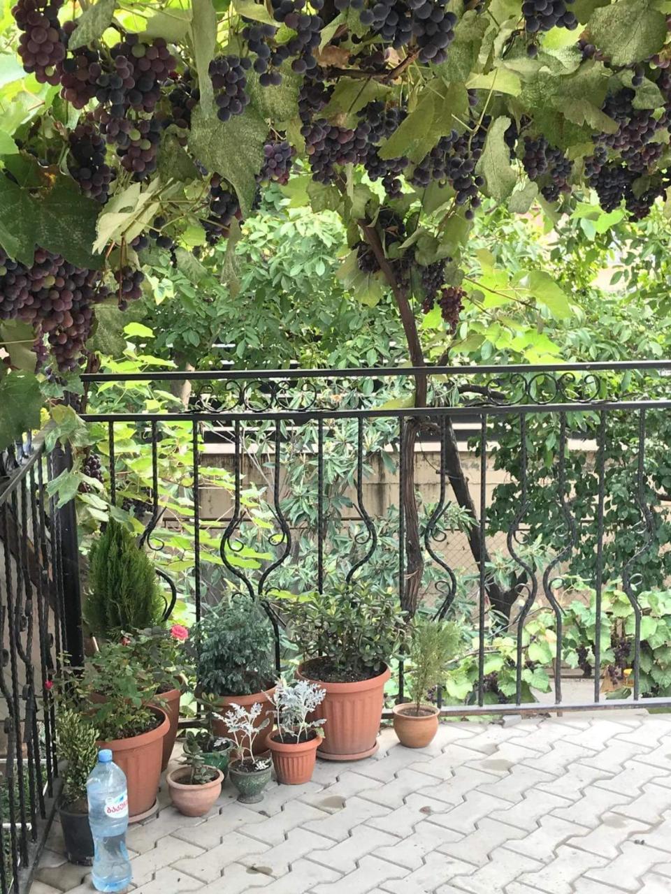 Nino'S Guest House 트빌리시 외부 사진